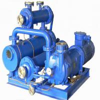 busch vacuum pump manual